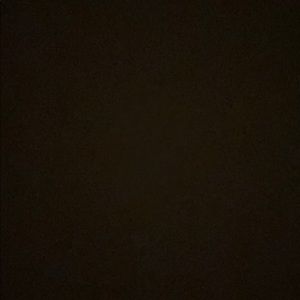 Meet your Posher, Whitney